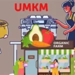 Pelatihan UMKM