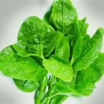 Daun Bayam