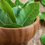 Daun Salam