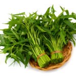 Fakta Menarik Nama Sayur Daerah: Begini Orang Bugis Menyebut Kangkung