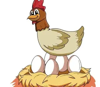 ayam petelur