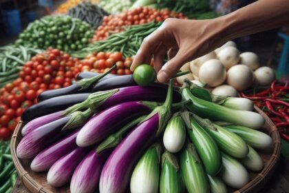 Terung atau Terong? Temukan Nama-Nama Daerah Lain dari Sayur Populer Ini!