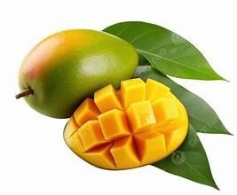 Daun Mangga