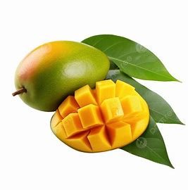 Daun Mangga