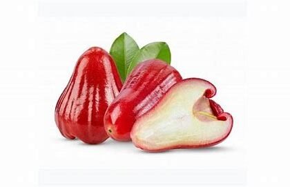 Pohon Jambu Air Bantu